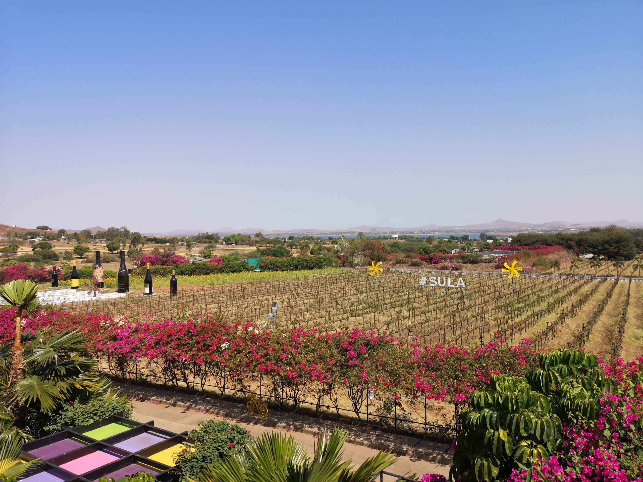 Fort Quest au milieu des vignes ou presque