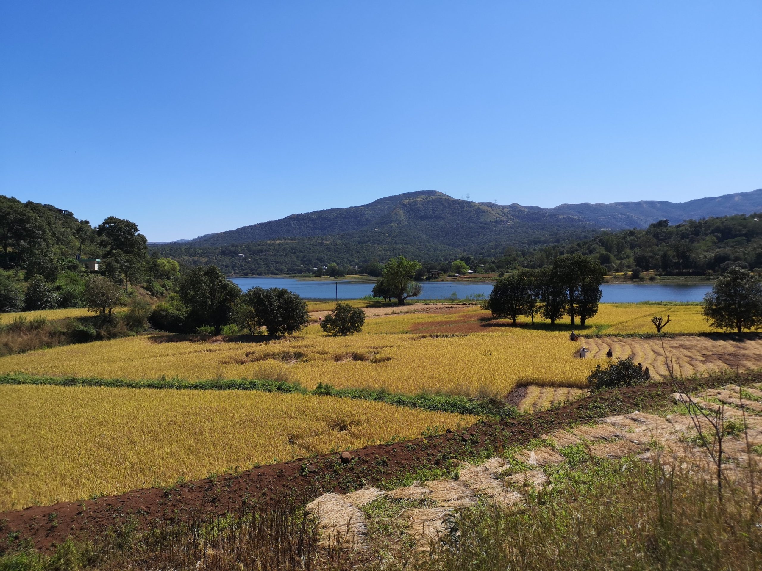 Velo autour de Panshet Dam et Khadakwasla lake